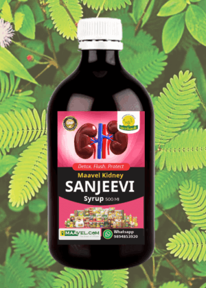 Maavel Kidney Sanjeevi Syrup | 500 ML | Protect Your Kidneys, Live Healthy!